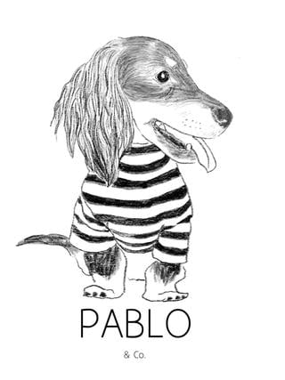 Shop Fitting And Fixtures 34 Pablo Co