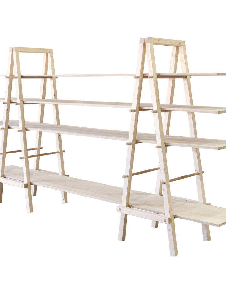Double Hinged Ladder A-Frame